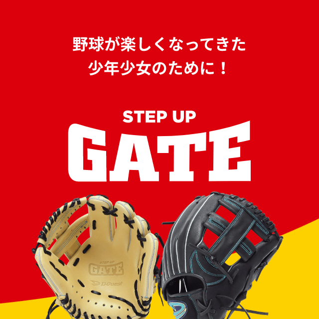 STEP UP GATE